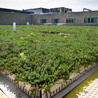 Dr. Ashish Sharma Discusses the Importance of Green Roofs