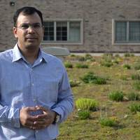 New study shows ways to maximize temperature-lowering benefits of Chicago’s green roofs