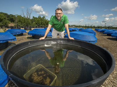 Similar pesticides show consistent effects on freshwater ecosystems