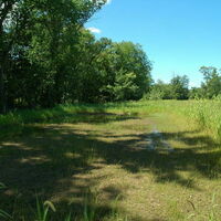 Wetland at ND-LEEF