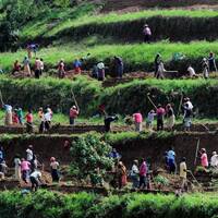 AIM for Scale, led by Paul Winters, awarded $2.6 million to scale agricultural innovations in Africa and beyond